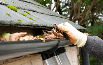 gutter cleaning Radwell