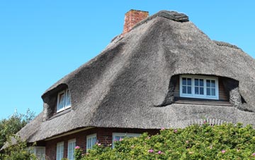 thatch roofing Radwell